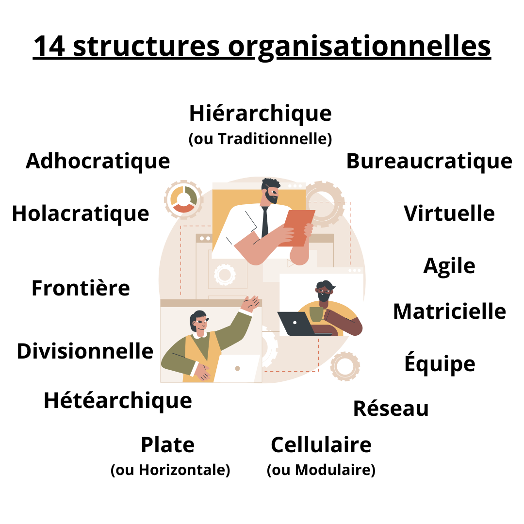 Structure organisationnelle